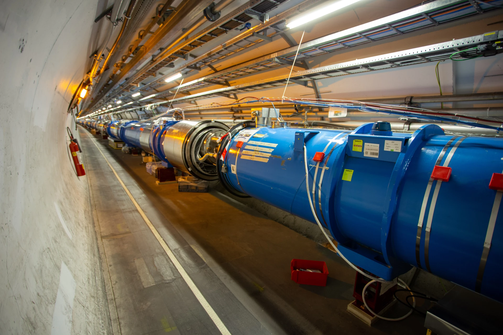 the-large-hadron-colliders-spy-bugjpe.jpg